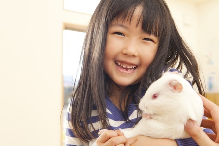 Nursery school girls feel the guinea pigの写真素材