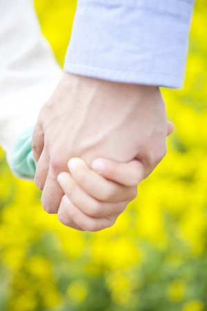 Hand of father and boy that connects the hand with rape fieldの写真素材