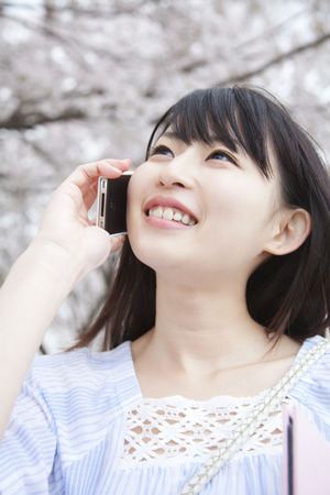 Woman to call under the cherry treeの写真素材