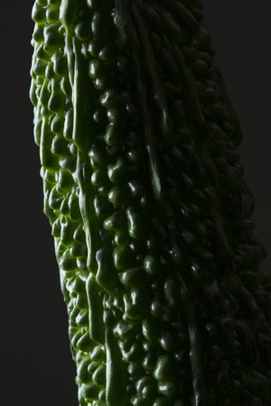 Bitter gourdの写真素材