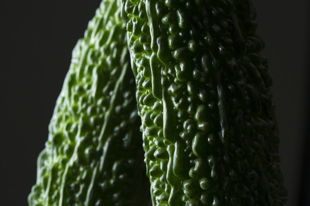 Bitter gourdの写真素材