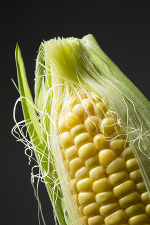Cornの写真素材