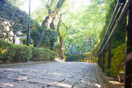 Gotanda Streetの写真素材