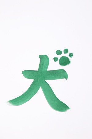 Characterの写真素材