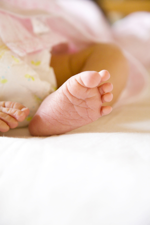 Baby feetの写真素材