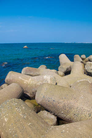 Tetrapodの写真素材