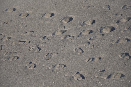Sandyの写真素材