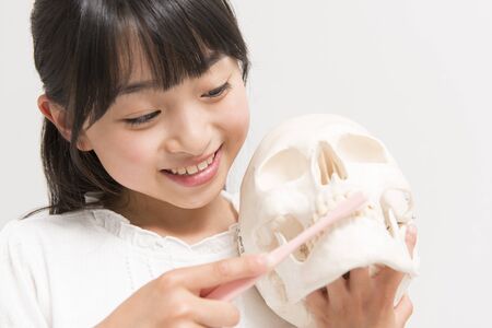 Model and girls skeletonの写真素材