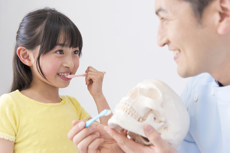 Male dentists to tooth brushing instruction to girlsの写真素材