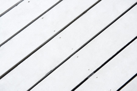 Floor of the white treeの写真素材