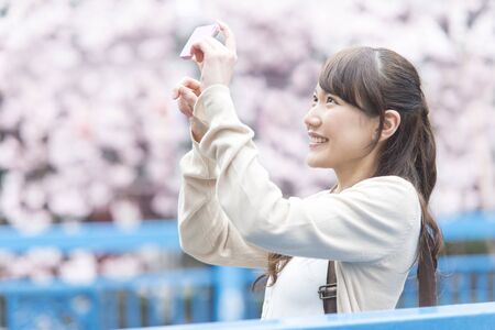 Women who take the cherry tree in the smartphone