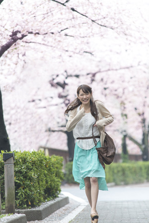 Cherry Blossom walking tree manの写真素材