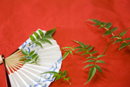 Japanese-style imageの写真素材