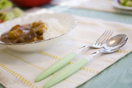 Spoon and fork and curry rice