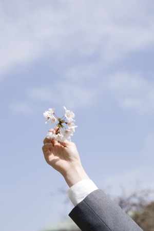 Hand of schoolgirl with cherry blossomsの写真素材