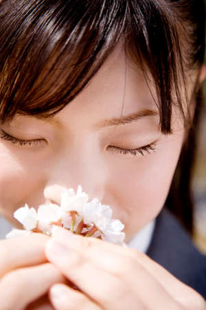 Schoolgirl to smell the smell of cherry blossomsの写真素材