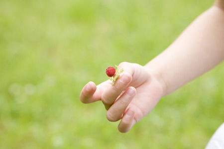 Hand of the girl with a nutの写真素材