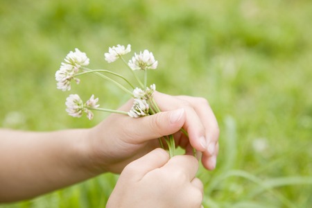 Hand of the girl picking flowersの写真素材
