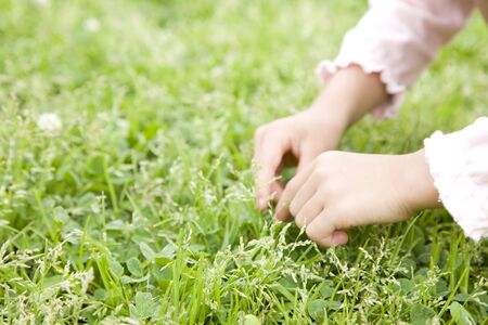 Hand of the girl who pluck the grassの写真素材