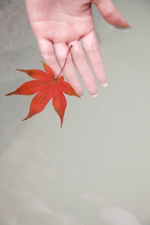 Hand that floated on the bathtub the autumn leavesの写真素材
