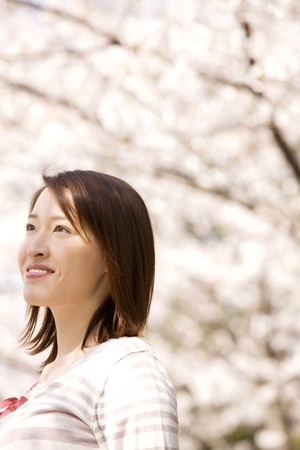 Cherry Blossom Ladyの写真素材