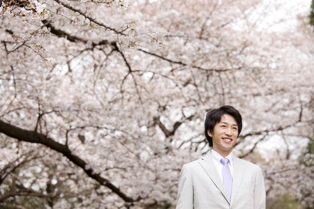 Businessman walking under the cherry treeの写真素材