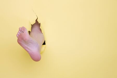 Ying feetの写真素材