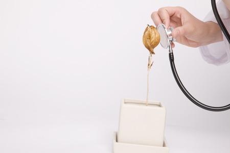 Hand of woman that examination the leaves with a stethoscopeの写真素材