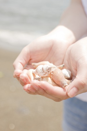 Women with shells in hand on the beachの写真素材