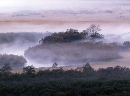 Fog Kushiroの写真素材