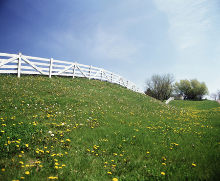 White fenceの写真素材