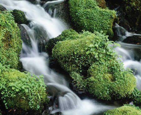 Oirase mountain streamの写真素材