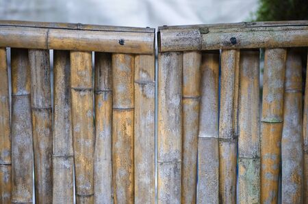 Gate of bambooの写真素材