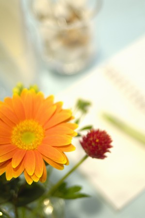 Flowers and writing utensilsの写真素材