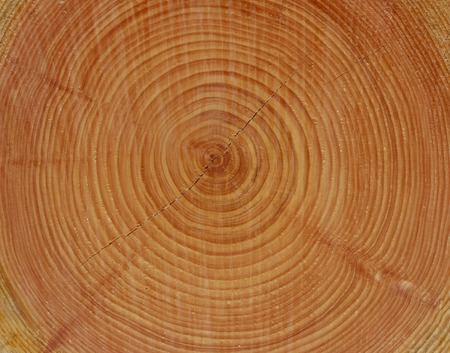 Treering