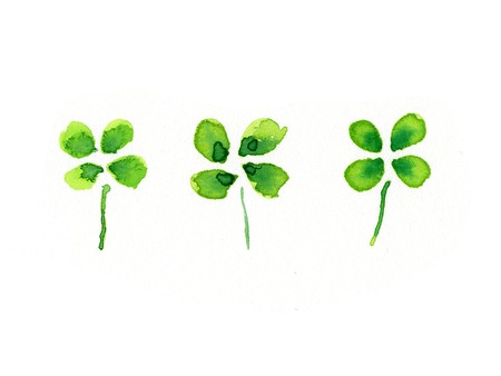Cloverの写真素材