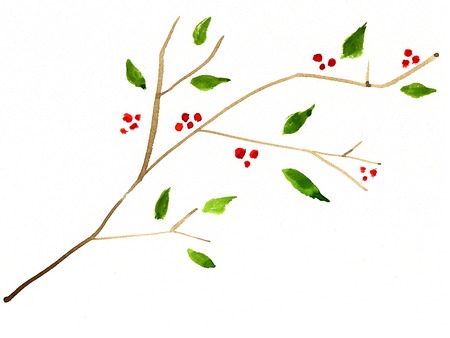 Australisの写真素材