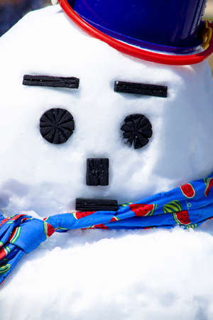 Snow Dharma made with artificial snowの写真素材