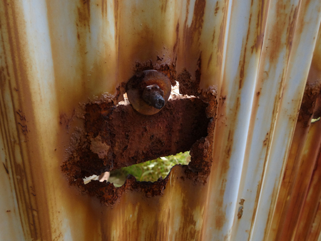 Galvanized iron plate rust is corroded