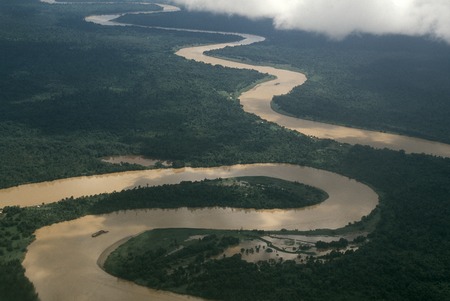 Rain Forestの写真素材