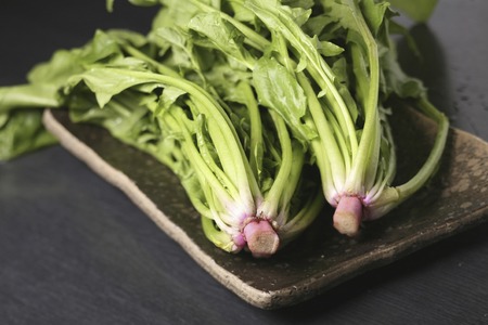 Akane spinachの写真素材