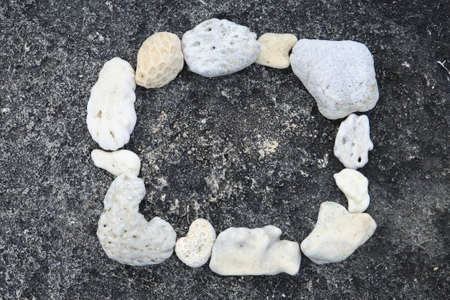 Frame of Okinawa coralの写真素材