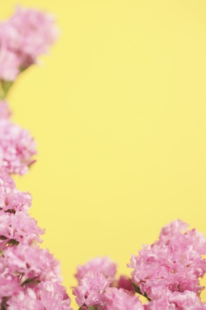 Pink flower frameの写真素材