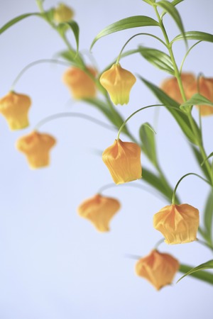 Bell-shaped flowersの写真素材