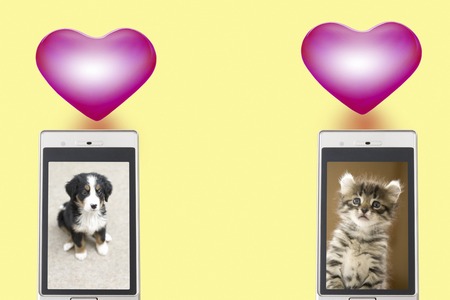 Photos of dogs and cats moves to a mobile screenの写真素材