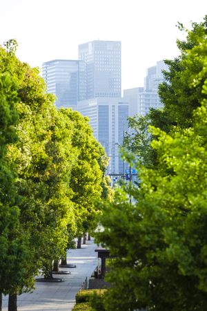 Viewed from the inner moat street Marunouchiの写真素材
