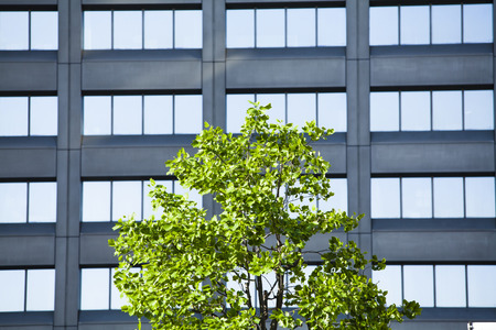 Urban green
