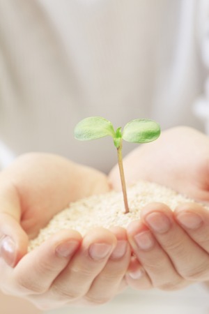 Futaba and handsの写真素材