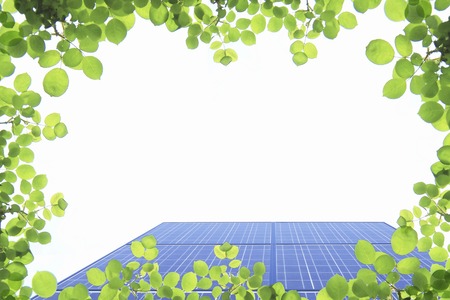 Solar panels and fresh green frame