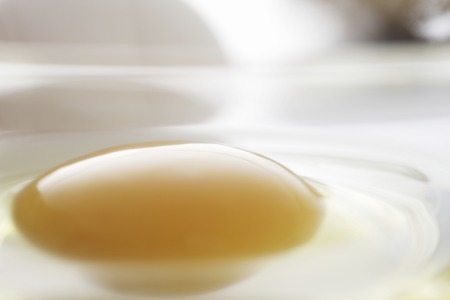 Raw eggsの写真素材